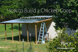 chicken coop build barn side garage turned