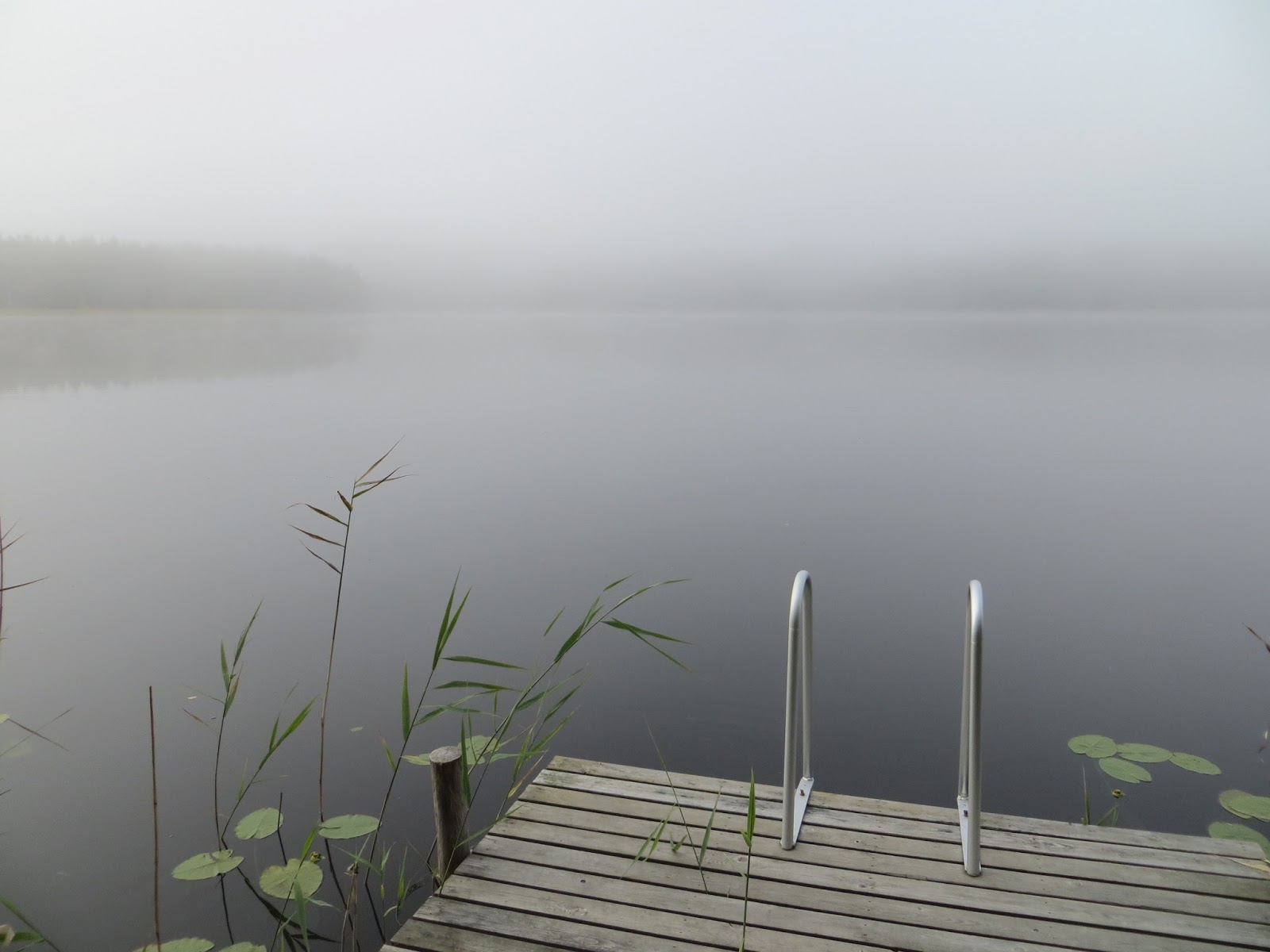 mist at lake