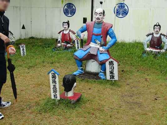 マザーオブパールまたはグラプトペタル植物の手入れ - ケア