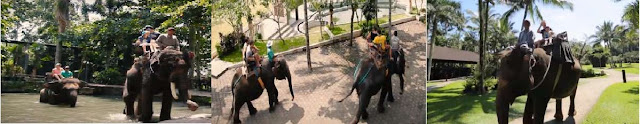 bali elephant riding