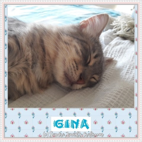 Gatos, Gina