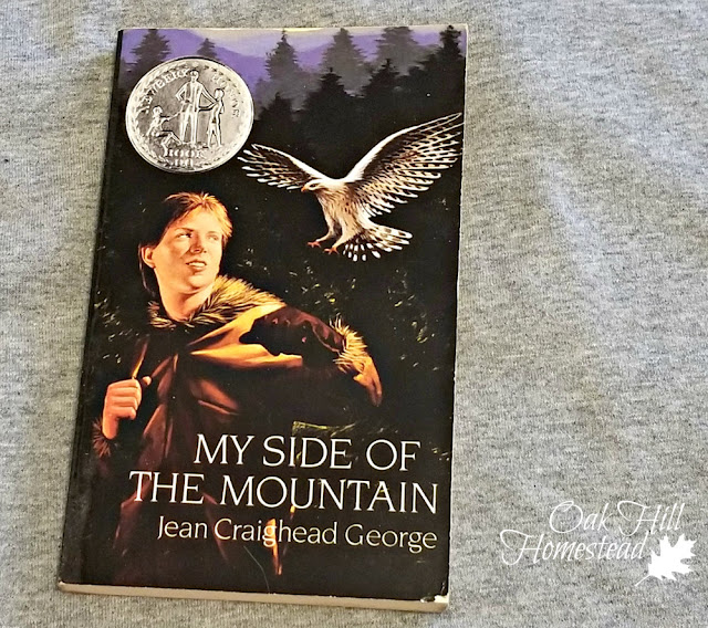The cover of "My Side of the Mountain" by Jean Craighead George.