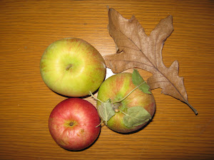 Minnesota Apples, Sept 2012