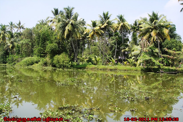 Alleppey Backwaters Kerala