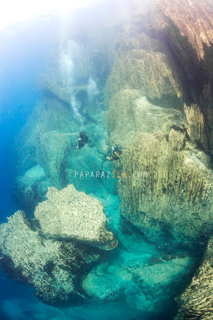Scuba diving, Underwater Photography, Learn Scuba, PaparazSea