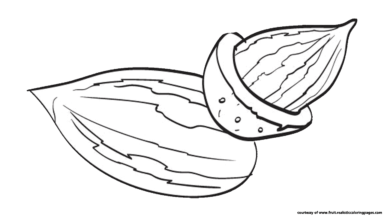 Almonds Pages Coloring Pages