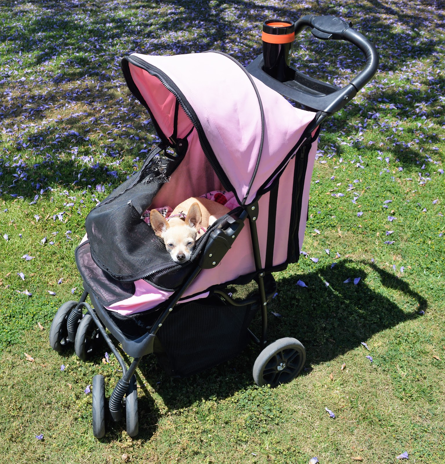 The Dog Geek Five Reasons to Use a Dog Stroller