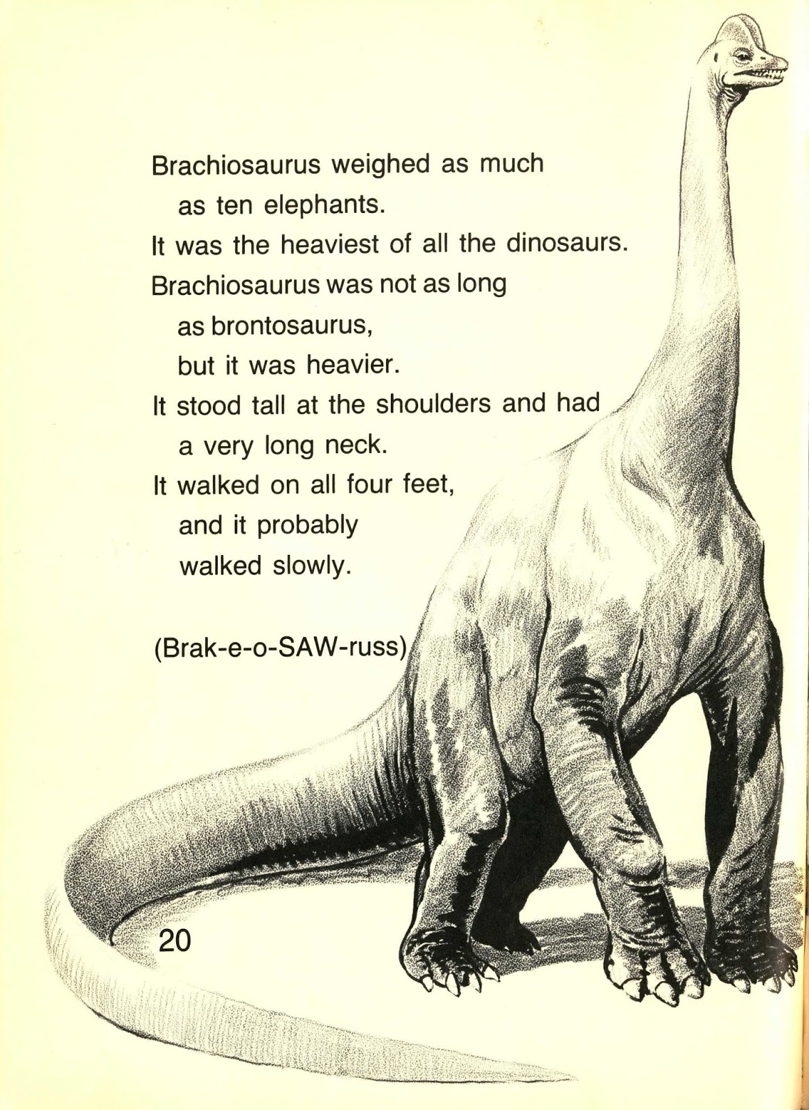 Paleofails Brachiosaurus