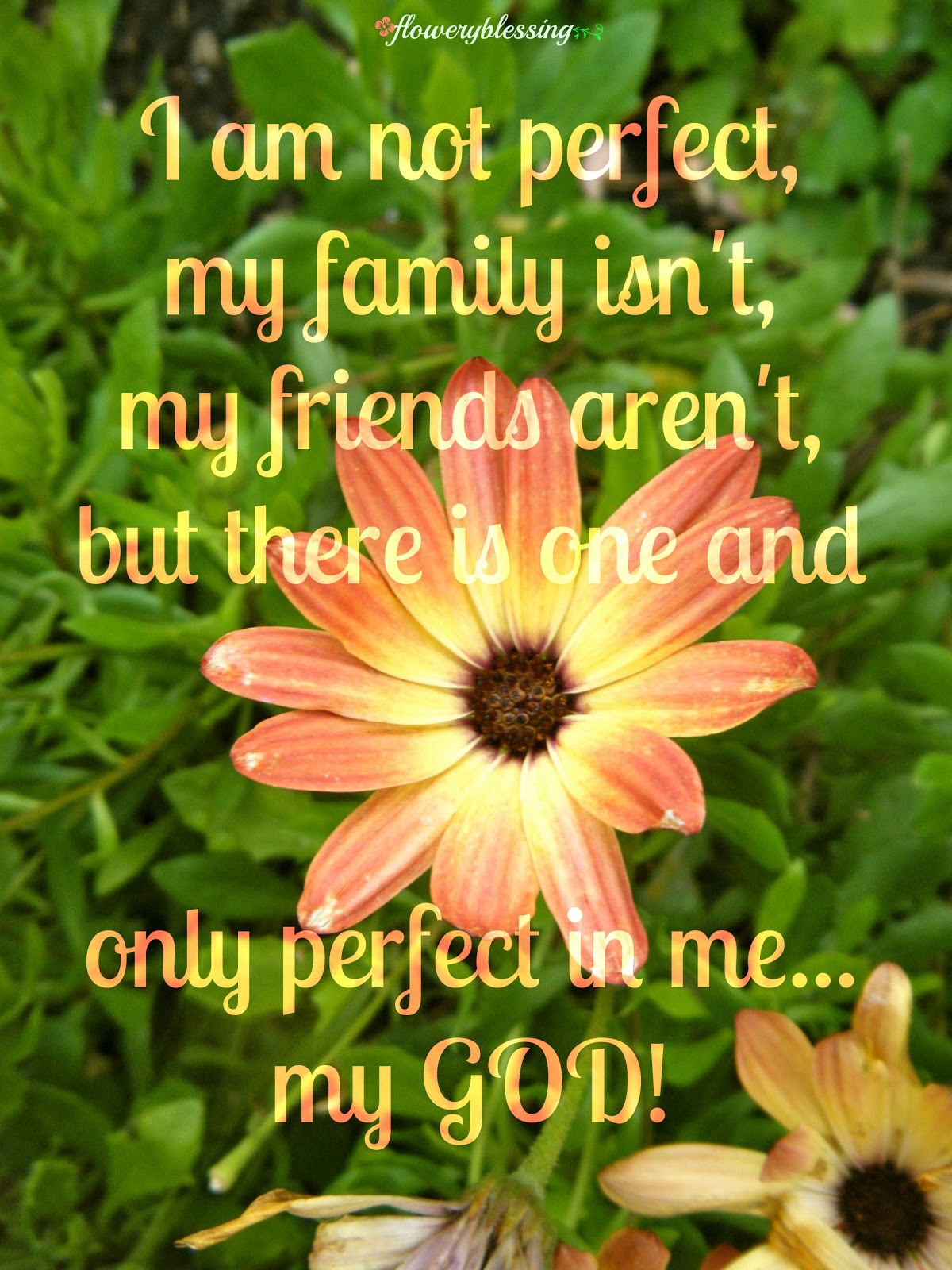 Flowery Blessing I Am Not Perfect My Family Isn t My Friends Aren t