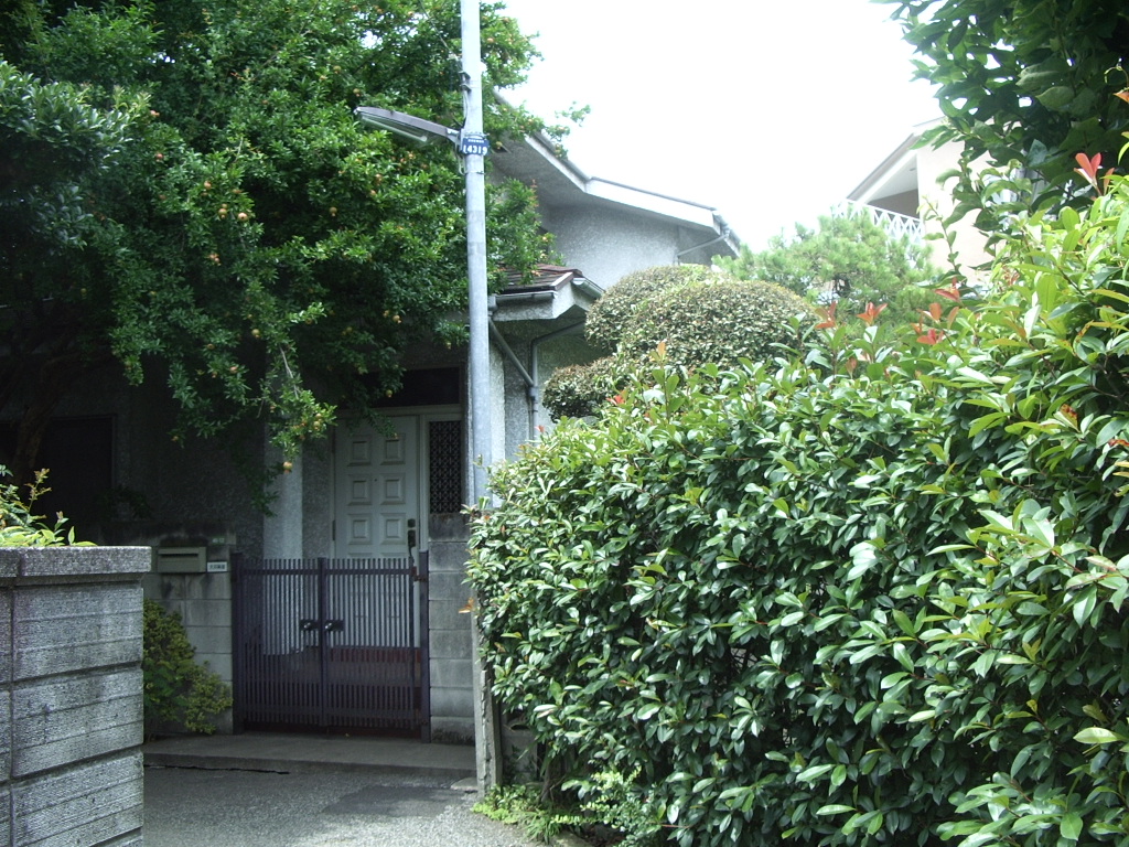 千駄木菜園 ザクロ伐採 切り株も抜く
