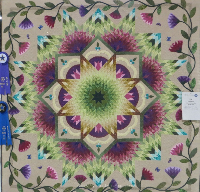 Joy's Jots, Shots & Whatnots Quilt Fest of Jacksonville 2015