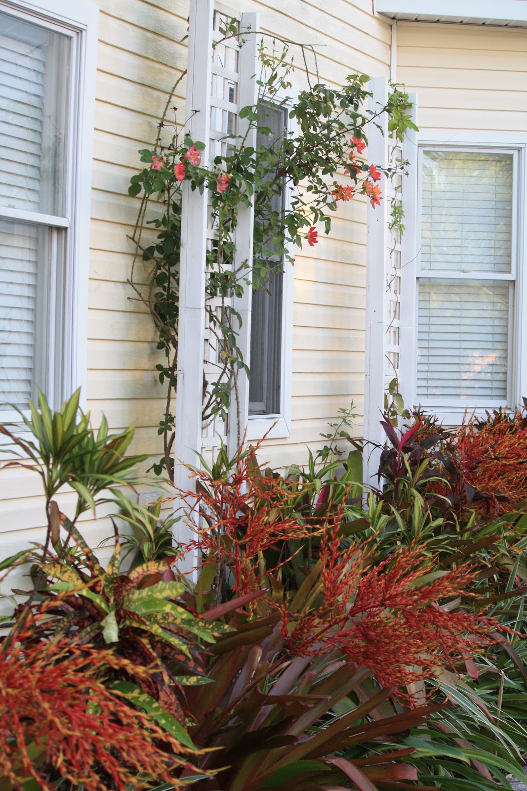Punta Gorda Florida Daily Photo Punta Gorda Side of House Garden