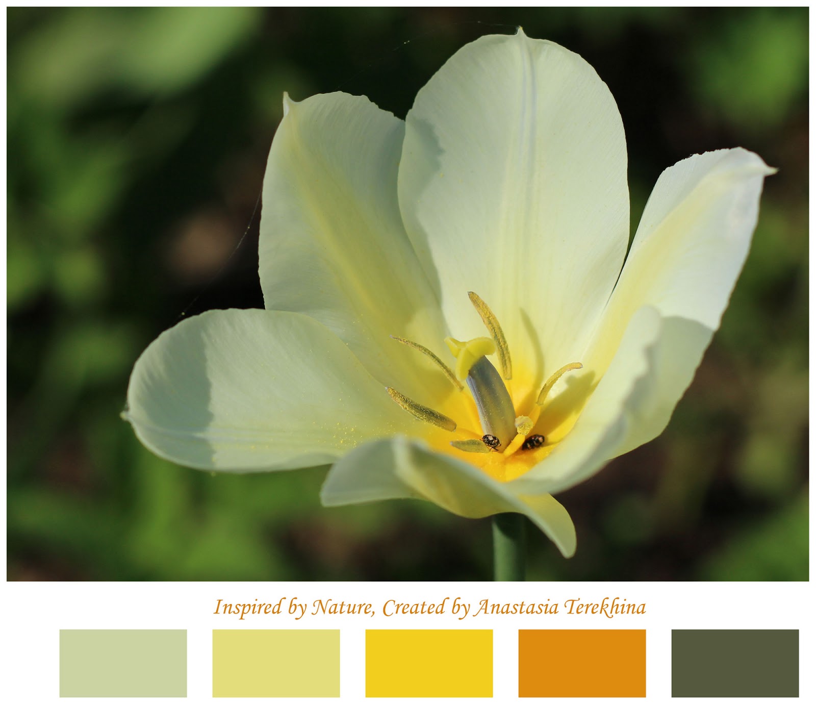 color inspiration palette tulip
