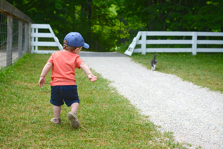 The Farm, Door County | My Darling Days The Farm, Door County | My Darling Days