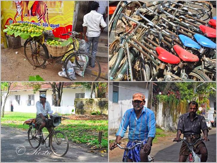 Mein Südindien-Gastposting im Blog bikelovin