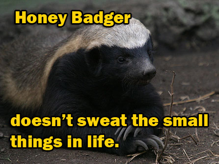 badger honey meme tea always