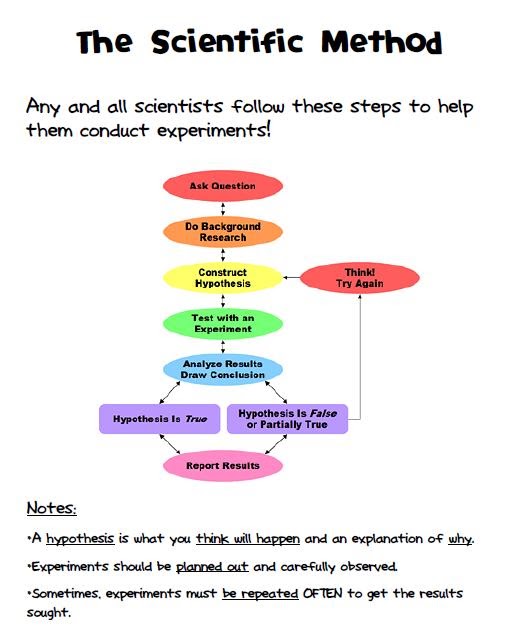 Scientific Method Handout
