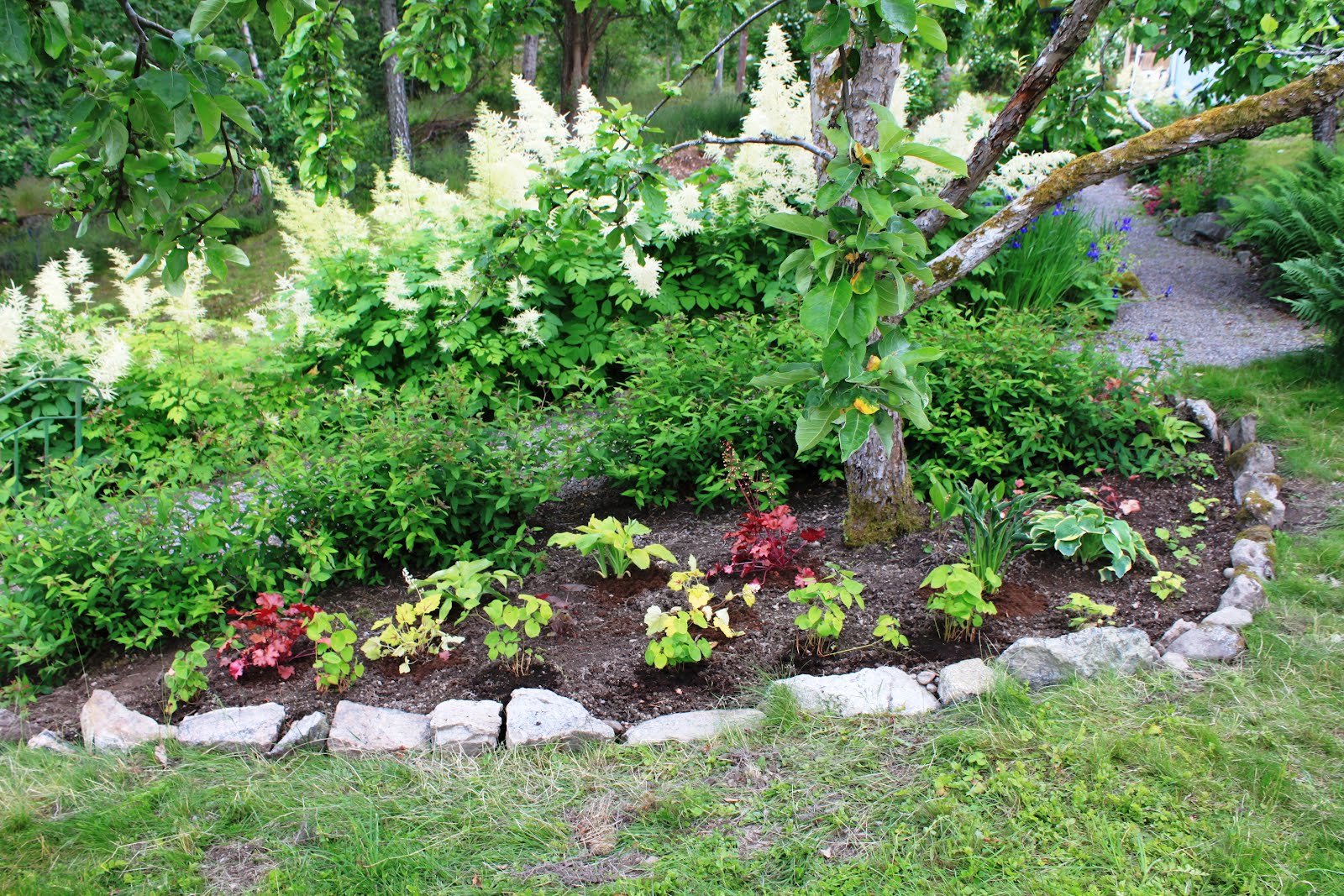 Mina trädgårdar: En rabatt utan blommor....