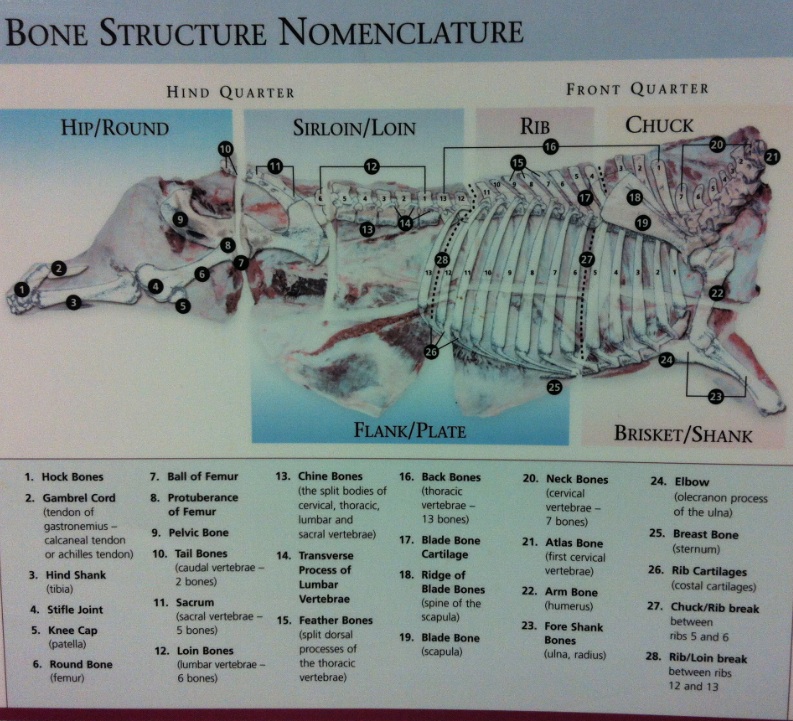 /ck/ Essentials Archive Cow's Bone Structure