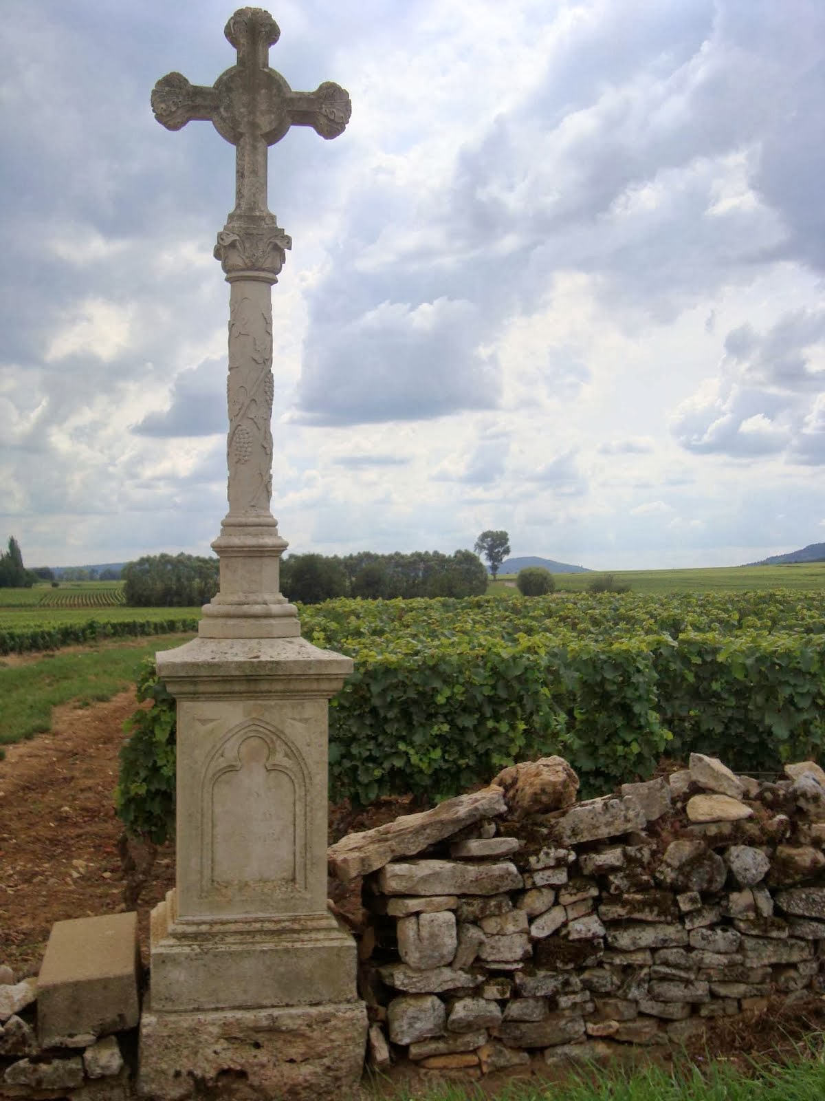 Burgundy Vineyards