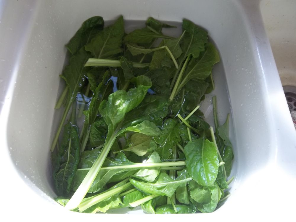 Eco Footprint South Africa Creamed spinach recipe