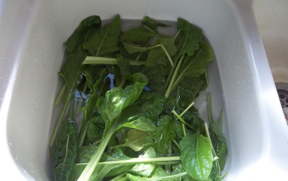 Eco Footprint ~ South Africa: Creamed spinach recipe