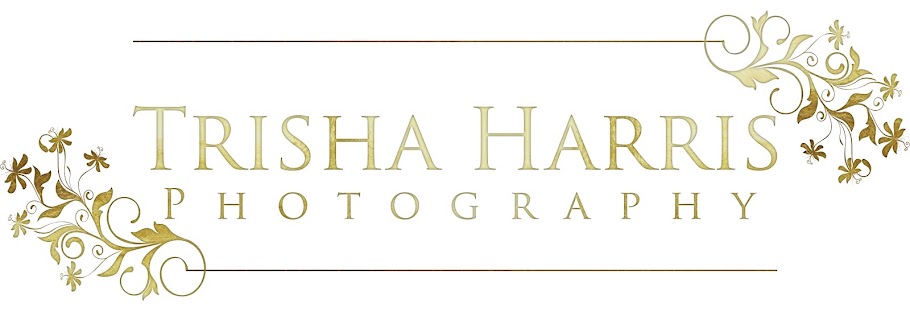 Trisha Harris Photography