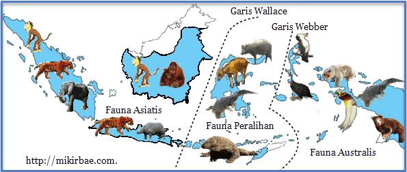 Persebaran Flora  dan  Fauna  di  Indonesia 