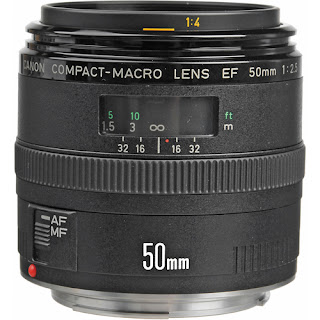 CANON EF 50mm f/2.5 Compact Macro ~ Photograph - Digital Imaging