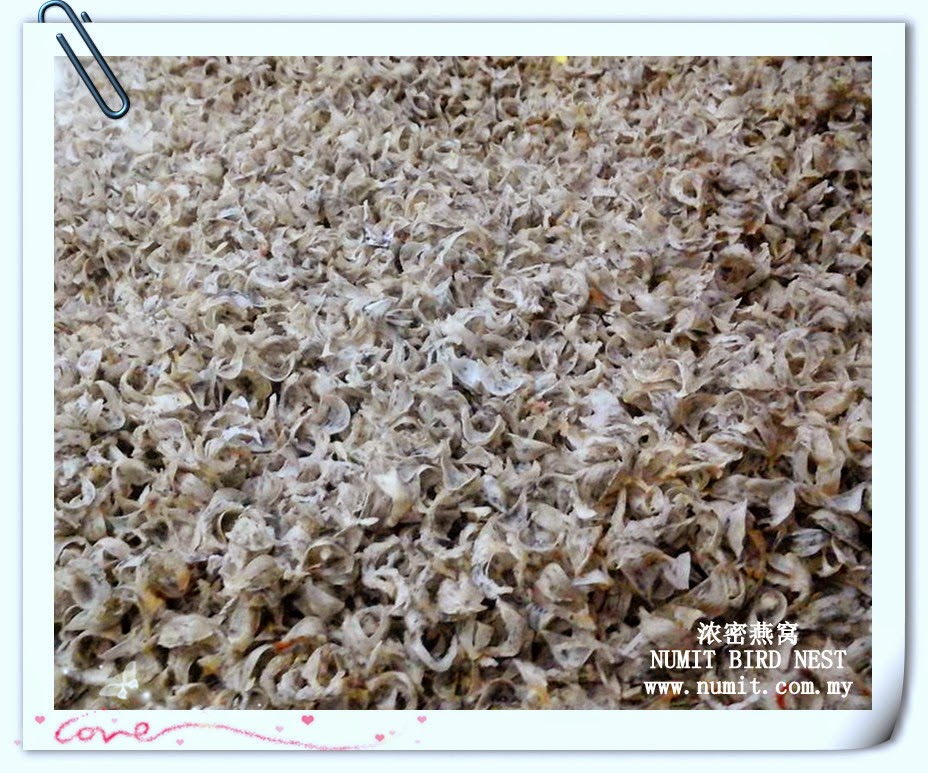 NUMIT Bird Nest 浓密燕窝 BIRD's NEST ORIGINATED FROM TAIPING, MALAYSIA