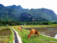 MAI CHAU, VIETNAM