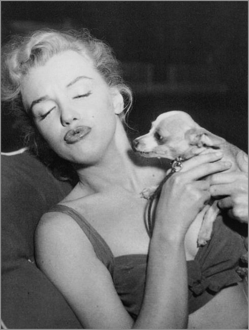 Vintage Doggy: Marilyn Monroe and her dogs