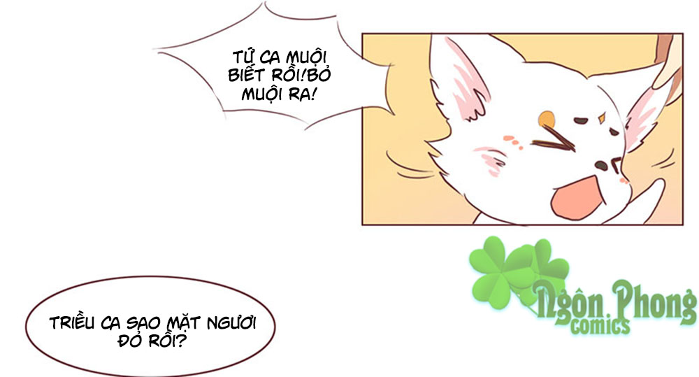 Mẫu Phi Đuôi Của Người Lộ Ra Rồi Kìa - Chương 36 - Trang 15