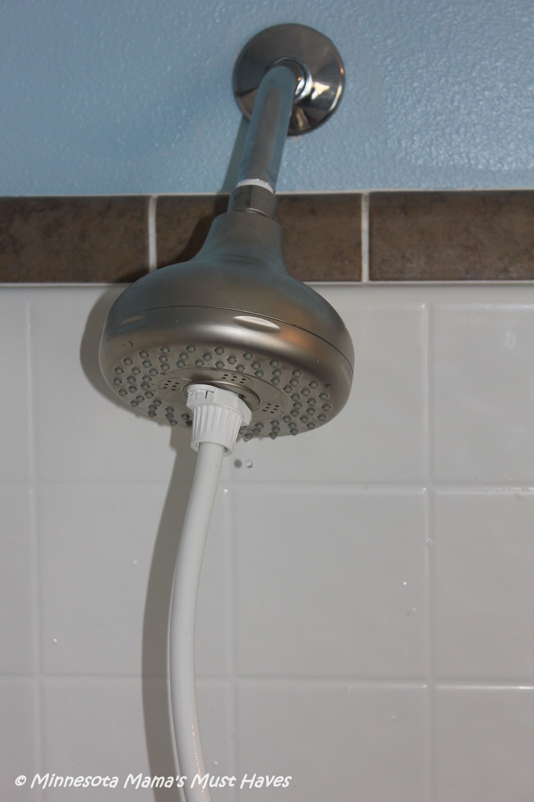Shower Head Hose Easily Rinses Your Pet