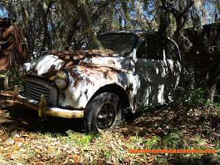 1967 morris minor rotting in style british classic car dylan benson random automotive