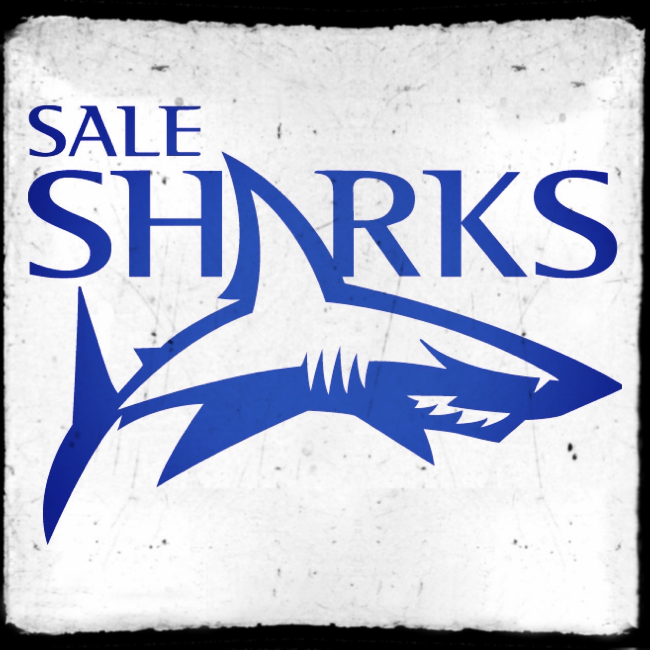 Out On The Full 201617 Spotlight On Sale Sharks