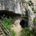 В Денисовската пещера са открити кости от зебро-магареподобен "кон"