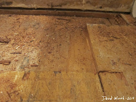 rotted bathroom sub floor, wood, water