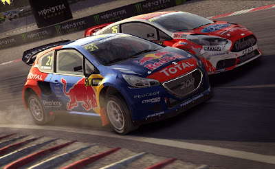 Dirt Rally Game Screenshot 2