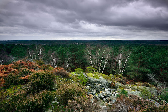 Point de vue de la Bombarde, forêt de Fontainebleau