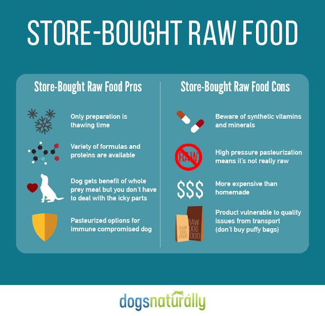 Road's End Papillons Raw Dog Food HomeMade VS Store Bought