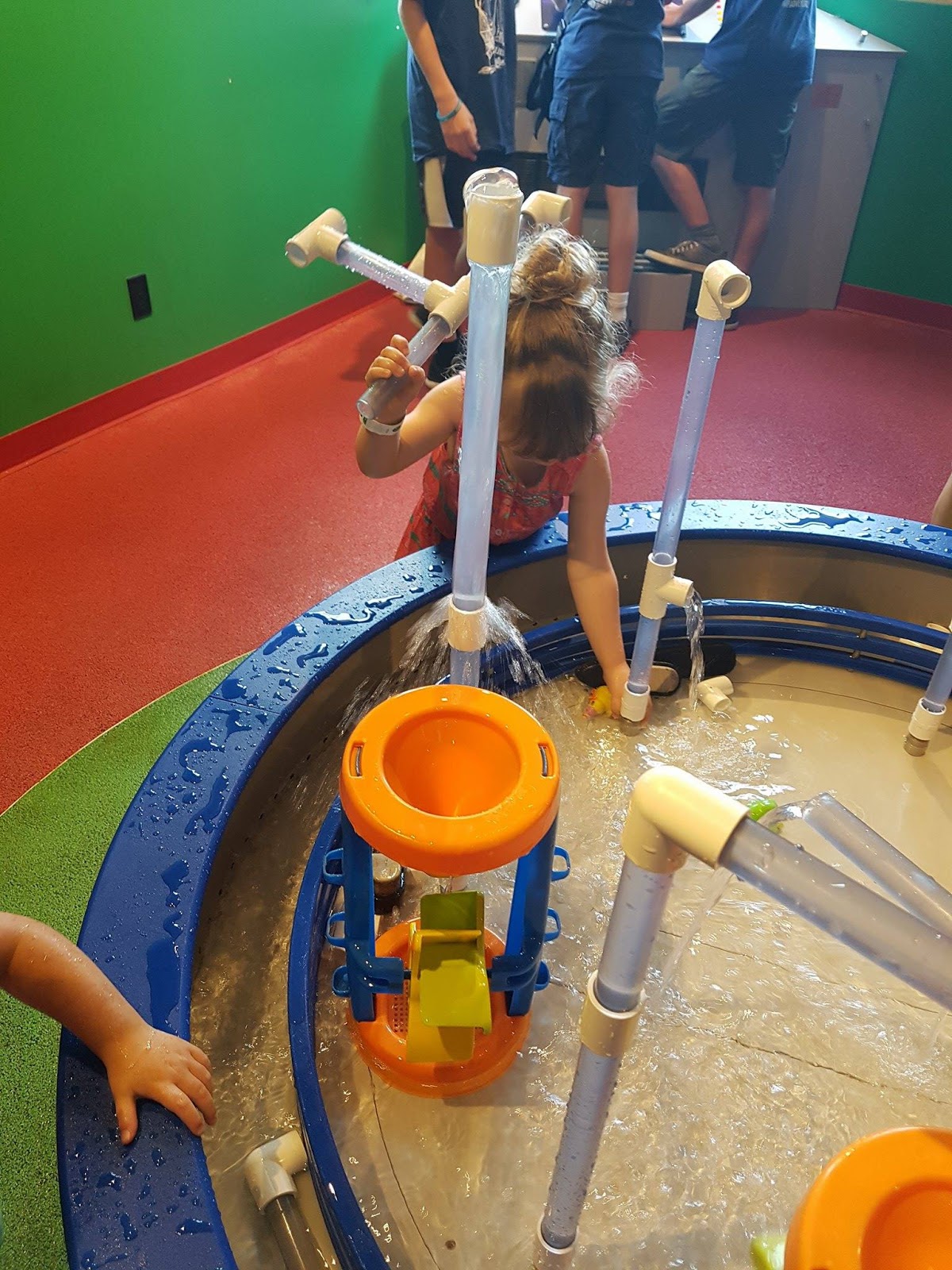 Things To Do with the Kids in Ottawa Brockville Aquatarium Review