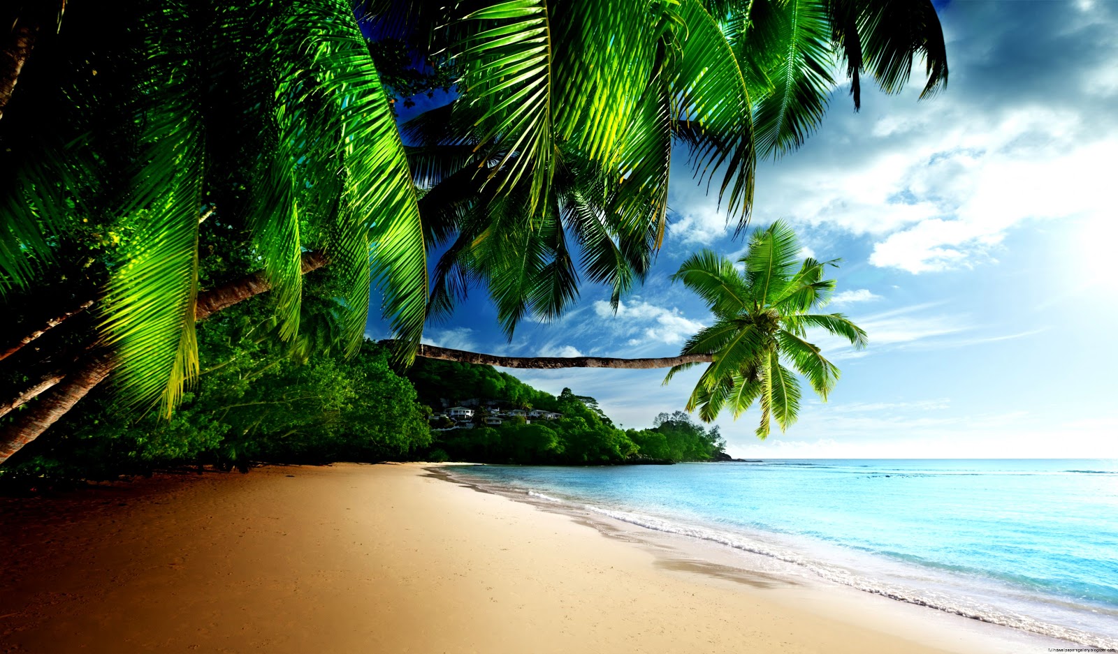 Tropical Beach Desktop Wallpaper Sky