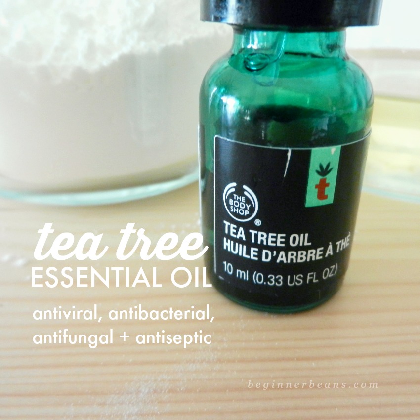 Trina Cress Grow life. Homemade Tea Tree and Coconut Oil Deodorant