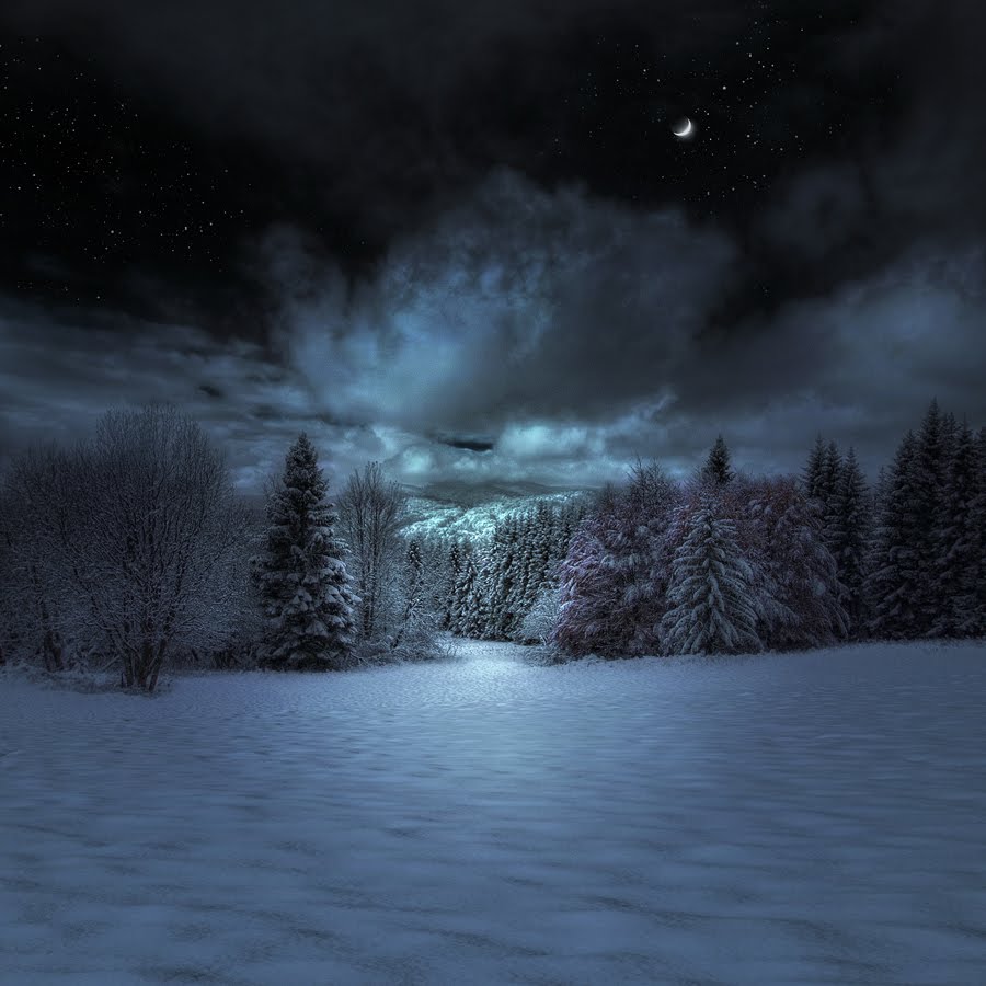 Зимняя ночь. Зима ночь. Зимний лес ночью. Снежная ночь. Лес снег ночь.
