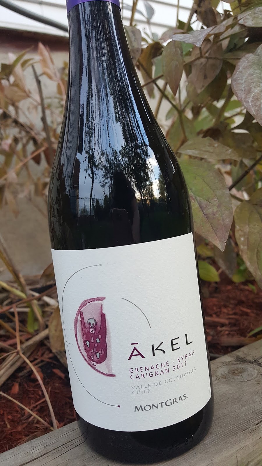 Akel, a new Chilean red wine that worth the discovery!