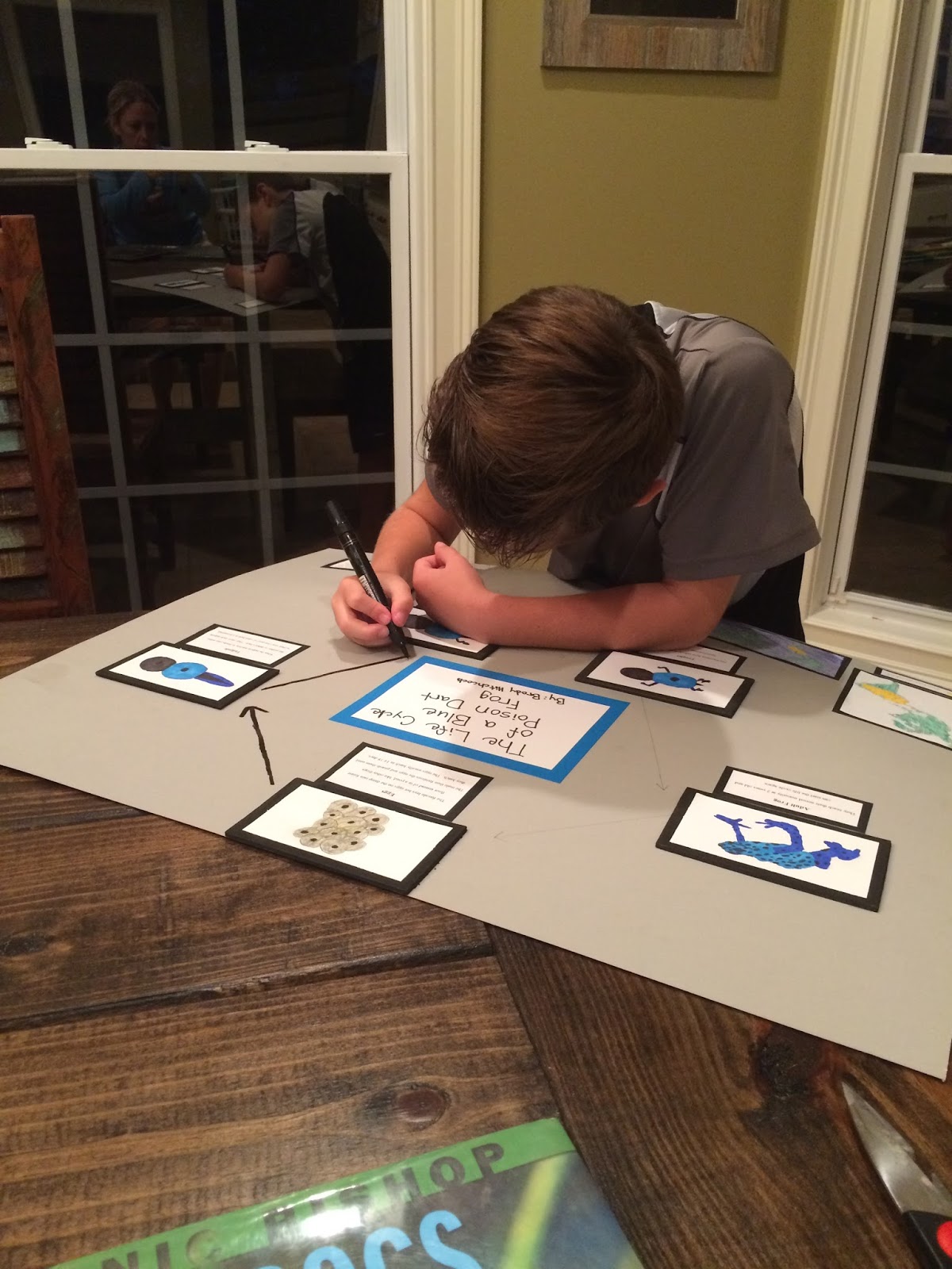 3rd Grade Life Cycle