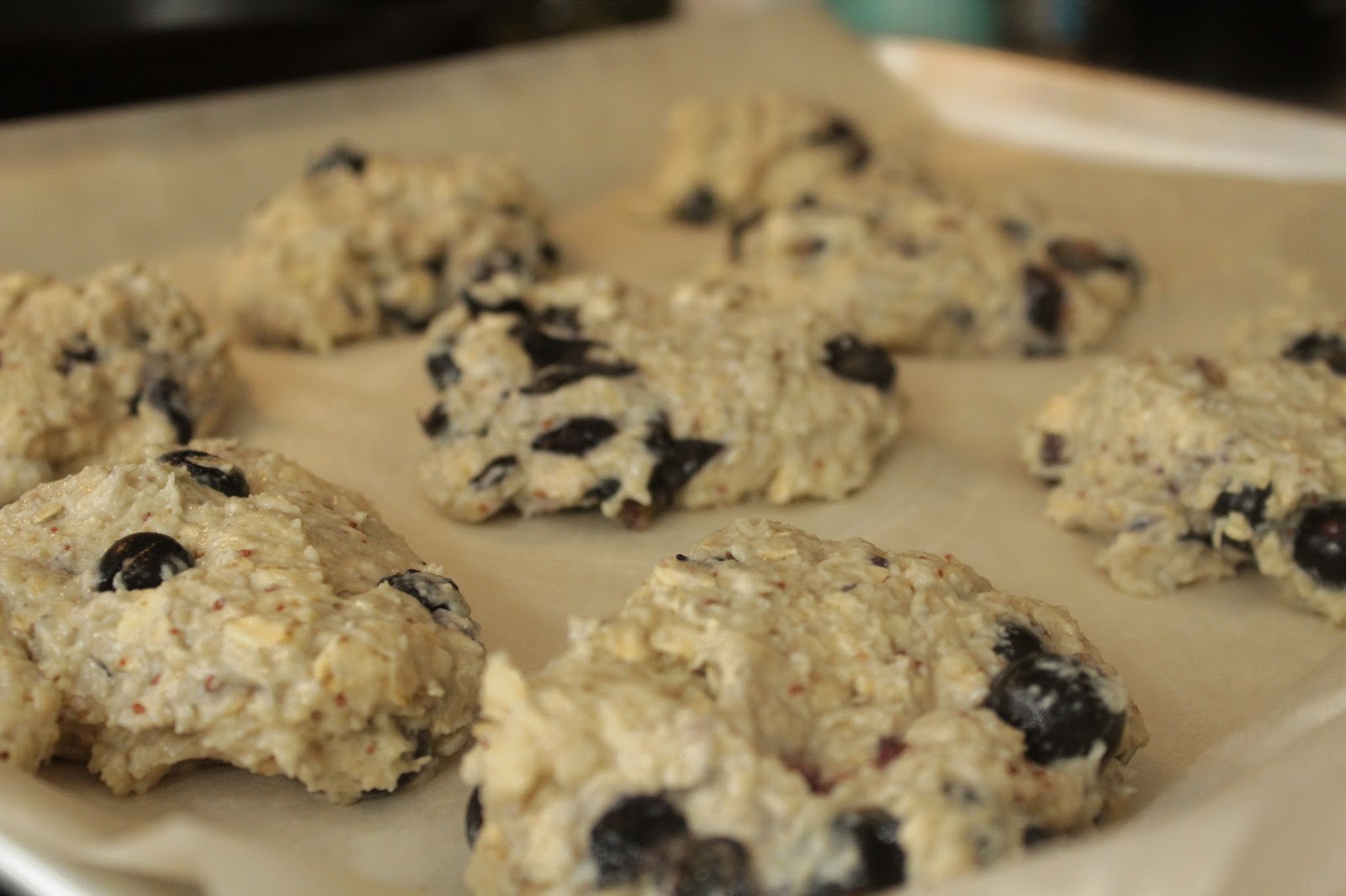 Let them eat scones! (Semi Whole Wheat Oatmeal Blueberry Scones) My