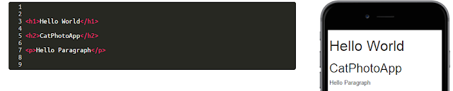 Belajar Membuat Web dengan Freecodecamp (Bagian 1 - HTML5 & CSS)