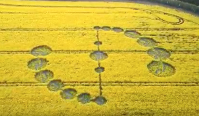 Crop Circle With Hidden Message In Wiltshire, UK Circle%252C%2Bcrop%252C%2BAI%252C%2Bartificial%2BIntelligence%252C%2Btank%252C%2Barcheology%252C%2BGod%252C%2BNellis%2BAFB%252C%2BMoon%252C%2Bunidentified%2Bflying%2Bobject%252C%2Bspace%252C%2BUFO%252C%2BUFOs%252C%2Bsighting%252C%2Bsightings%252C%2Balien%252C%2Baliens%252C%2BFox%252C%2BNews%252C%2Bastronomy%252C%2Btreasure%252C%2B